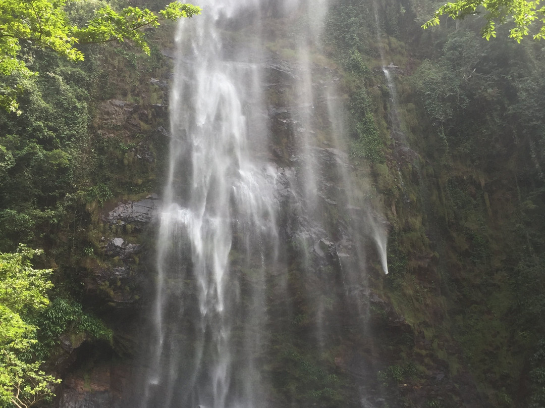 Wli Waterfalls-Afegame必去景点