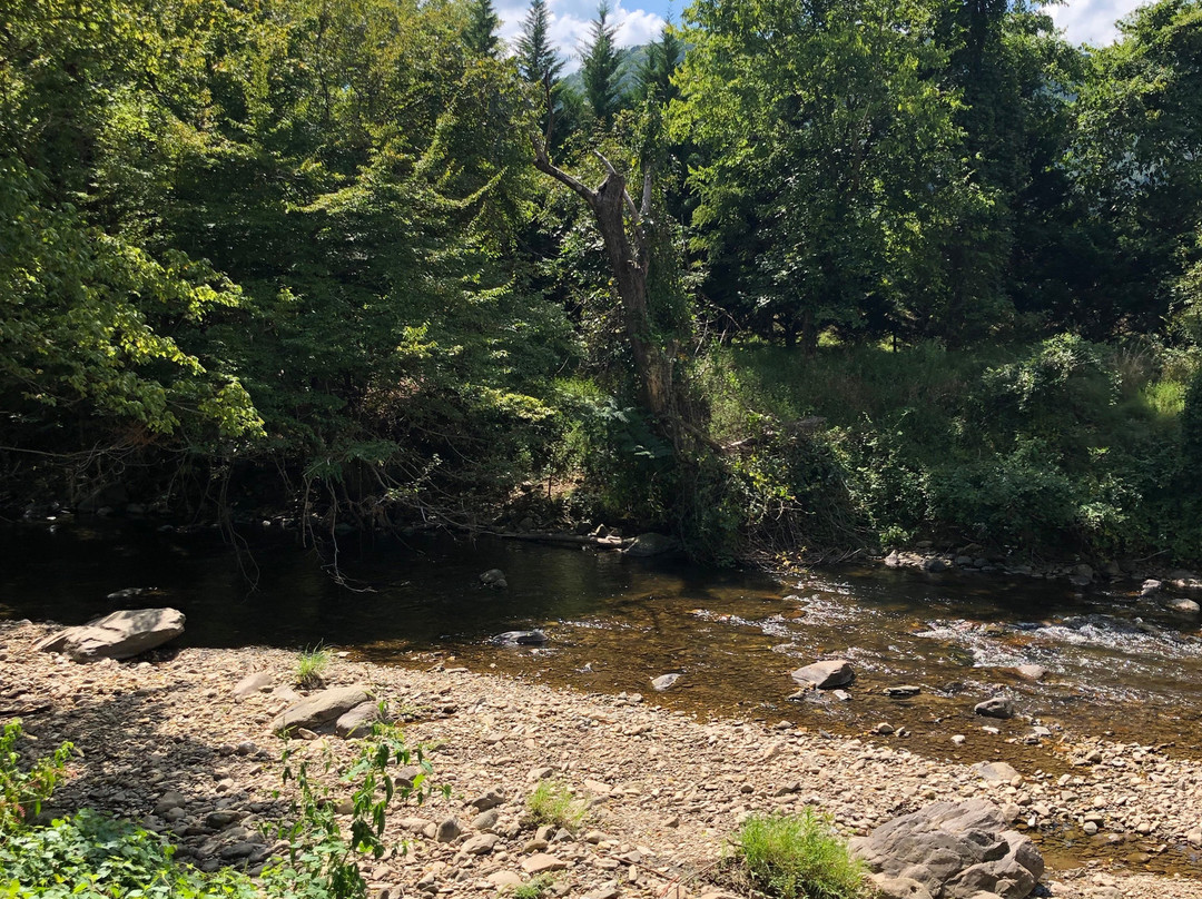 Hot Springs Resort & Spa主图