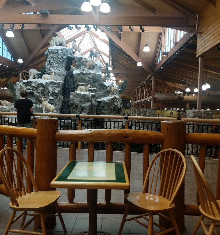 Cabela's-Dundee必去景点
