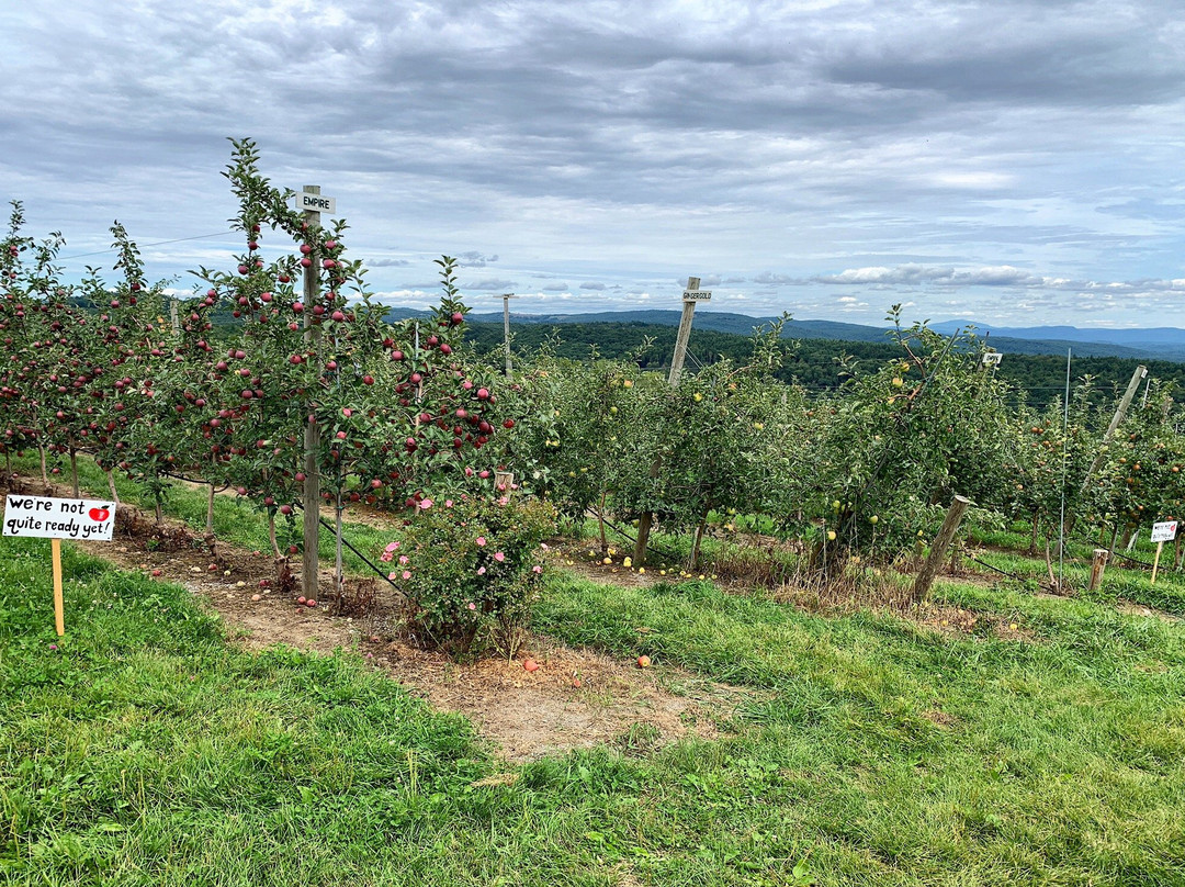 Apex Orchards景点图片