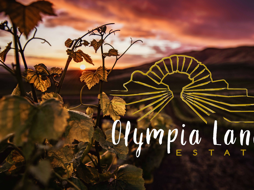 Olympia Land Winery景点图片