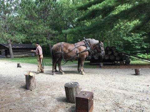 森林历史中心-大急流城必去景点