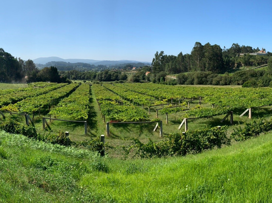 Pazo Baión景点图片