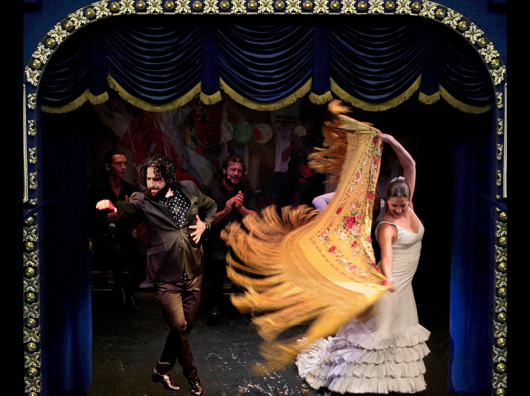 Teatro Flamenco Triana景点图片