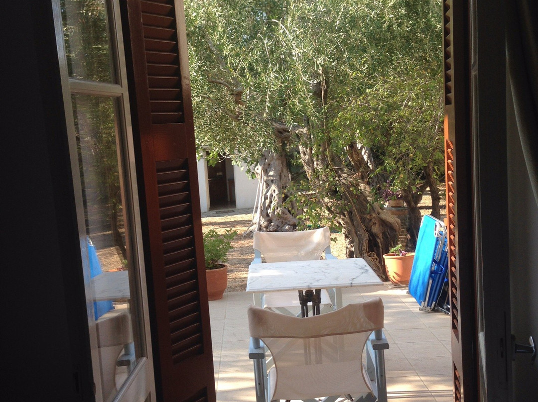 Baronessa's Apartments主图