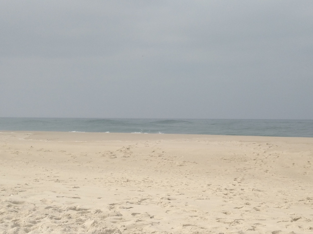 Reserva Natural das Dunas de Sao Jacinto景点图片