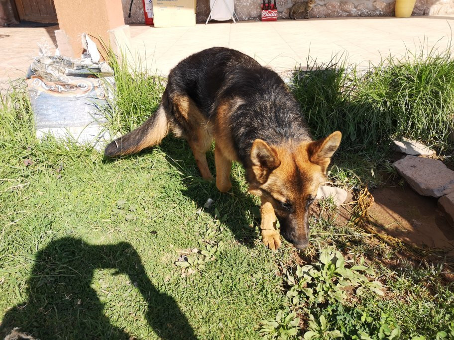 Villa Mercedes Hotel Urubamba主图