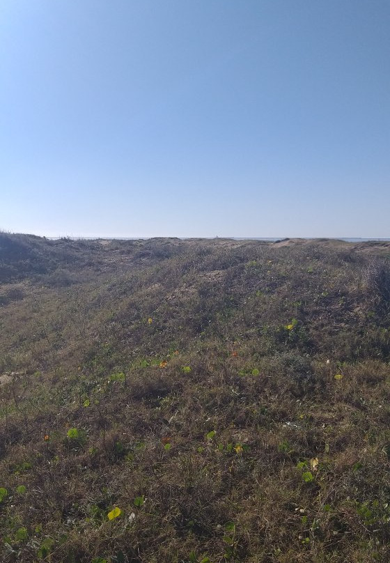 Navio Altair-Cassino必去景点