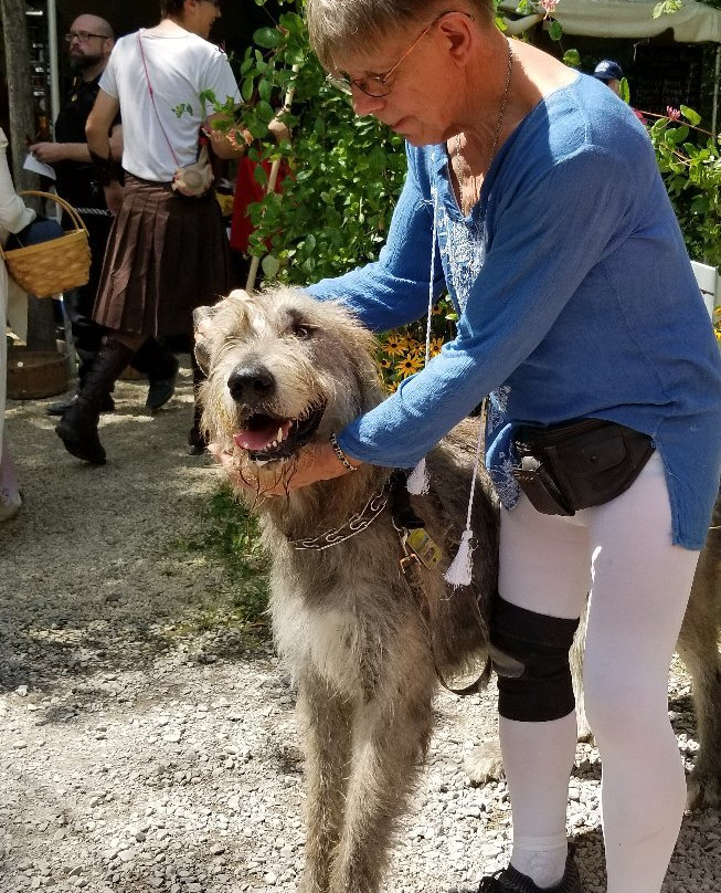 The Great Lakes Medieval Faire-Rock Creek必去景点