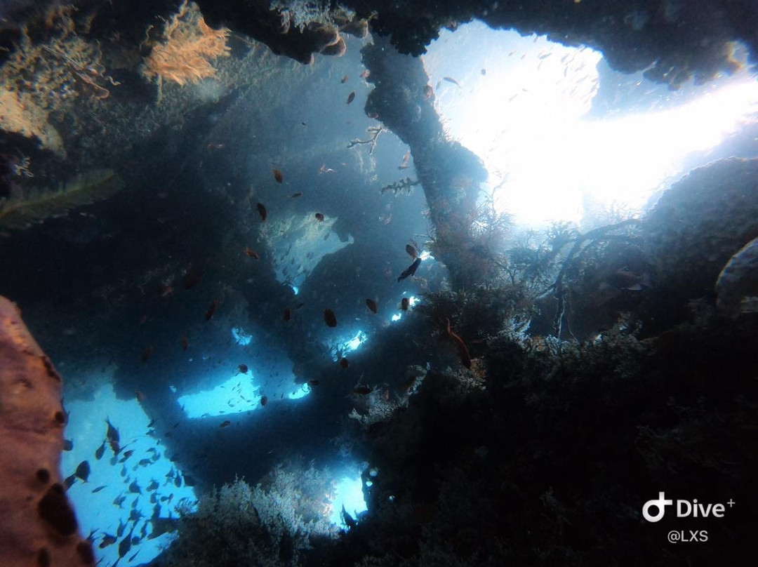 Bali Dive Trek景点图片