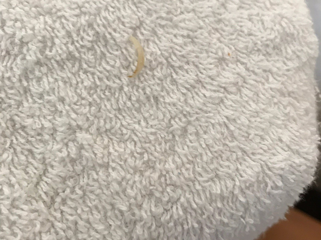 Cambrian Hotel主图