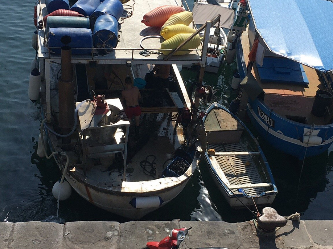 Porto di Torre del Greco-Torre Del Greco必去景点