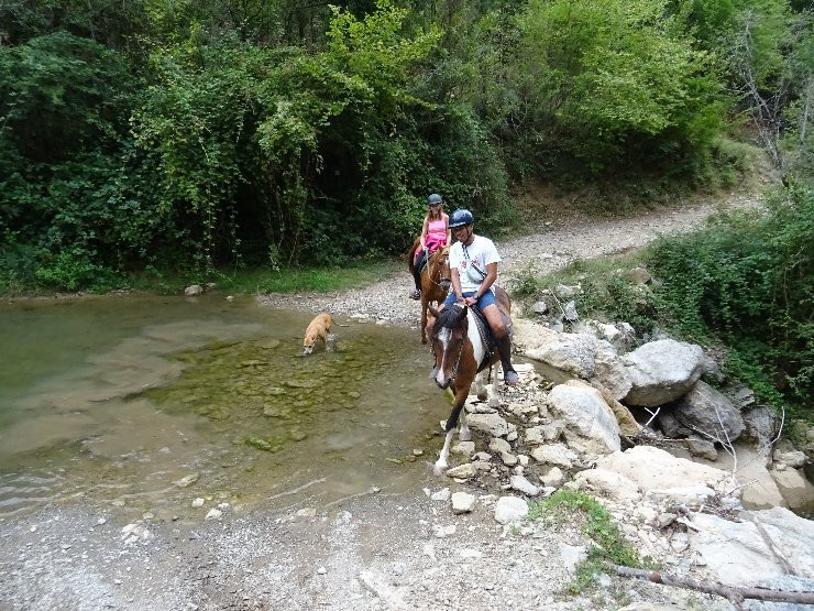 TRAC Terápies I Rutes Amb Cavall景点图片