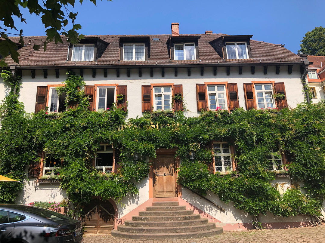 Hotel Die Hirschgasse Heidelberg主图