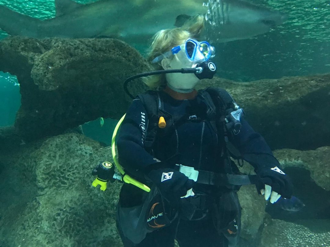 Blue Planet Aquarium-埃尔斯米尔港必去景点