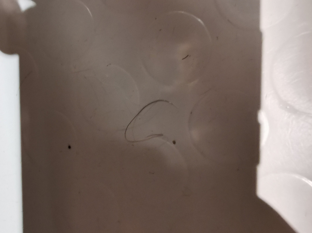 Première Classe Poitiers Futuroscope – Chasseneuil主图