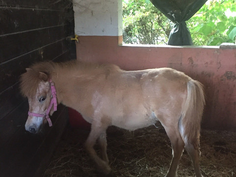 Ac Ranch-Carentino必去景点