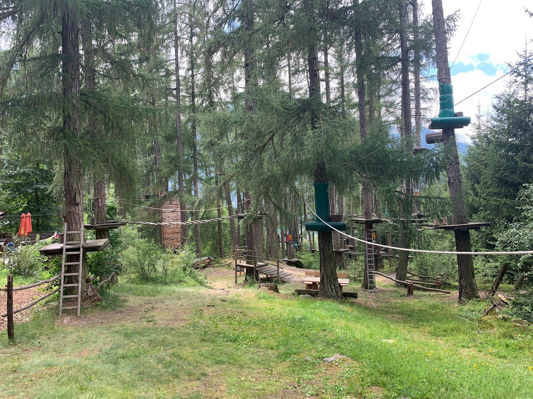 Waldseilgarten Laas Alitzer Waldele