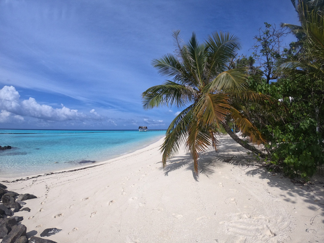 棕榈海滩度假村主图