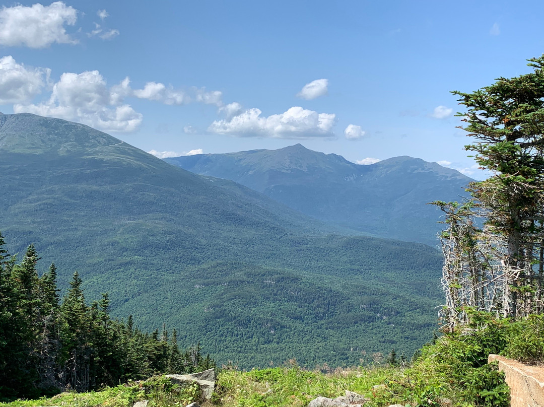 Wildcat Mountain-杰克逊必去景点