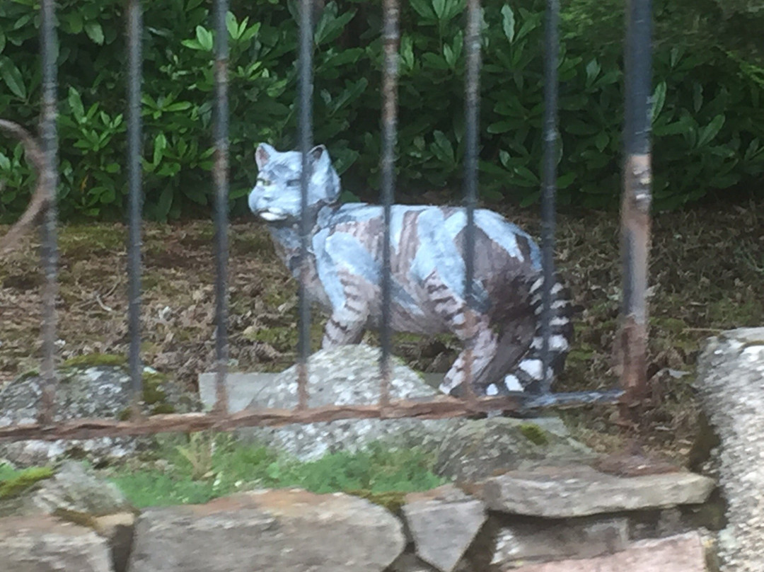 The Wildcat Experience景点图片