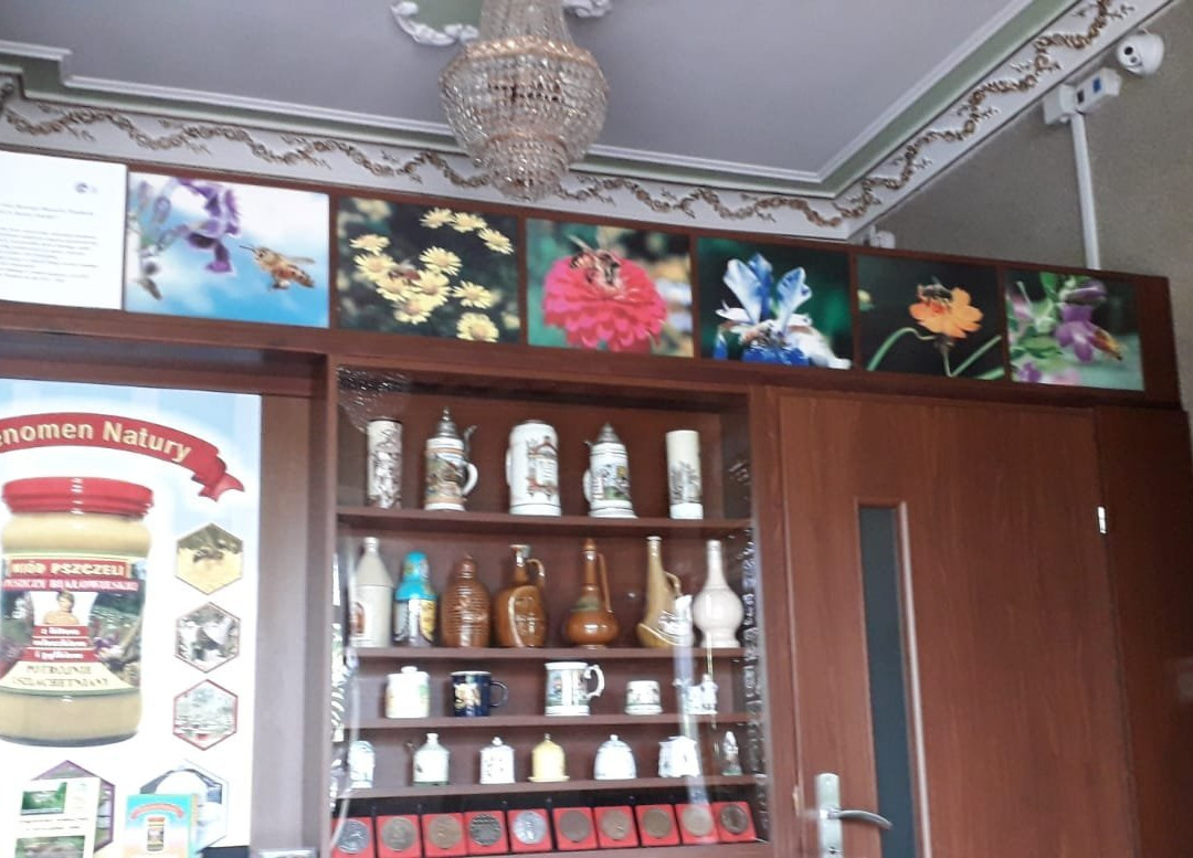 Dwor Bartnika主图