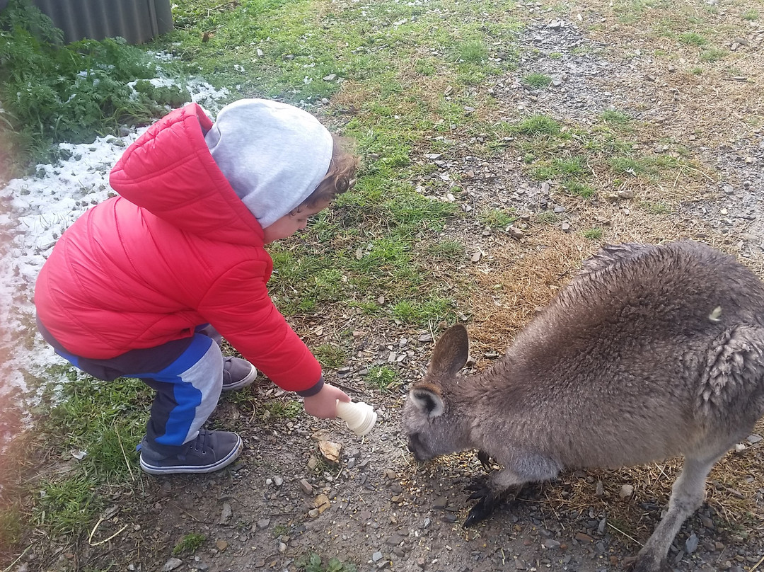 Taralga Wildlife Park-Taralga必去景点