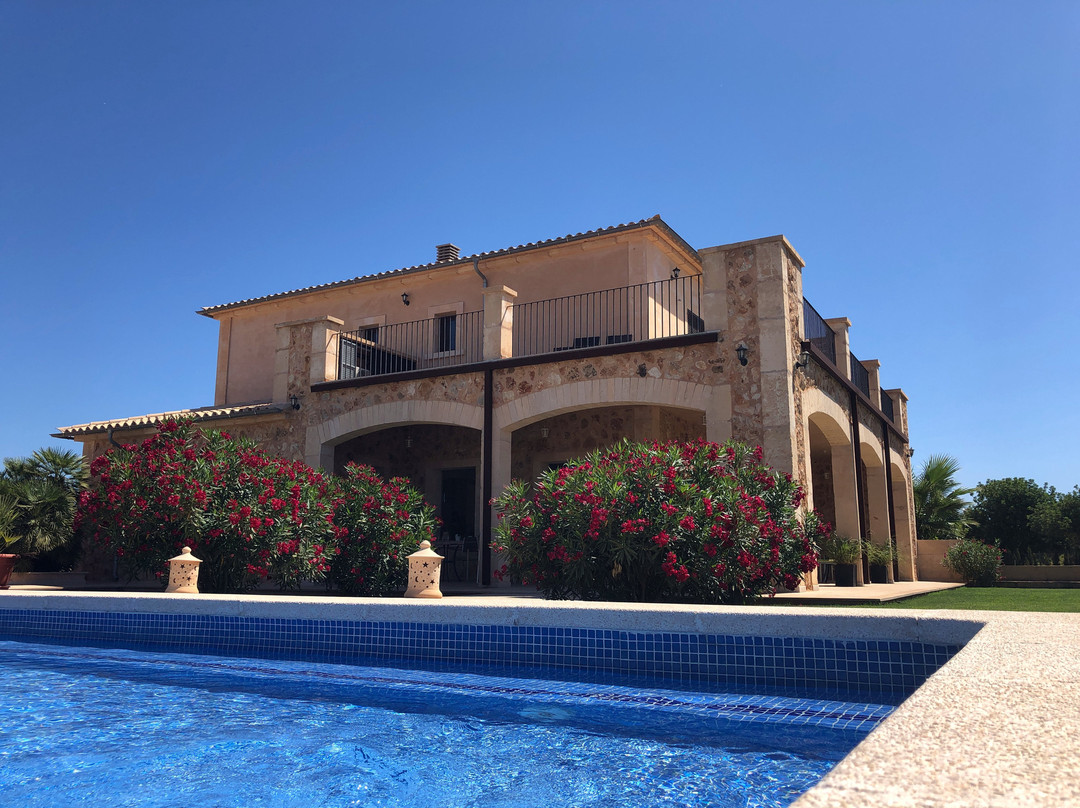 Finca Alegria主图