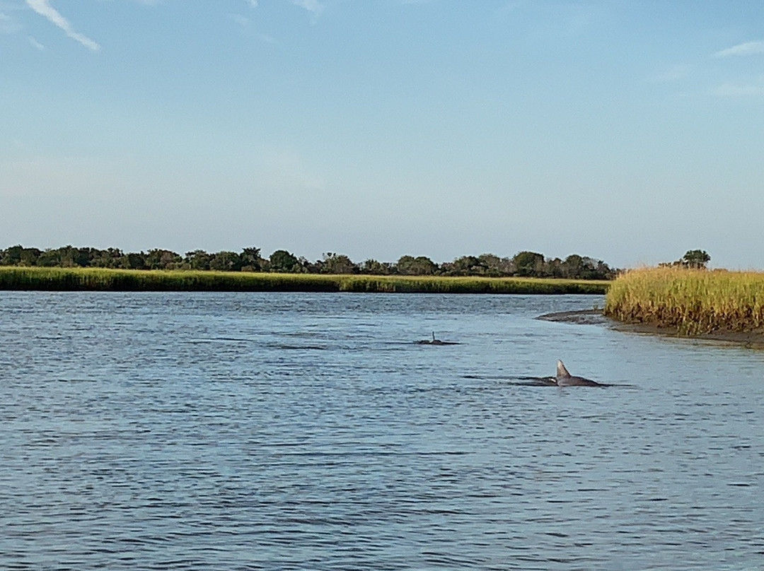 Charleston Outdoor Adventures景点图片