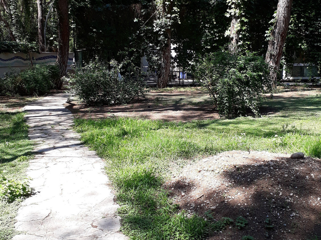 Club Festival Tekirova主图