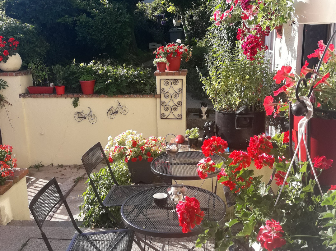 Sunset House Bed and Breakfast主图