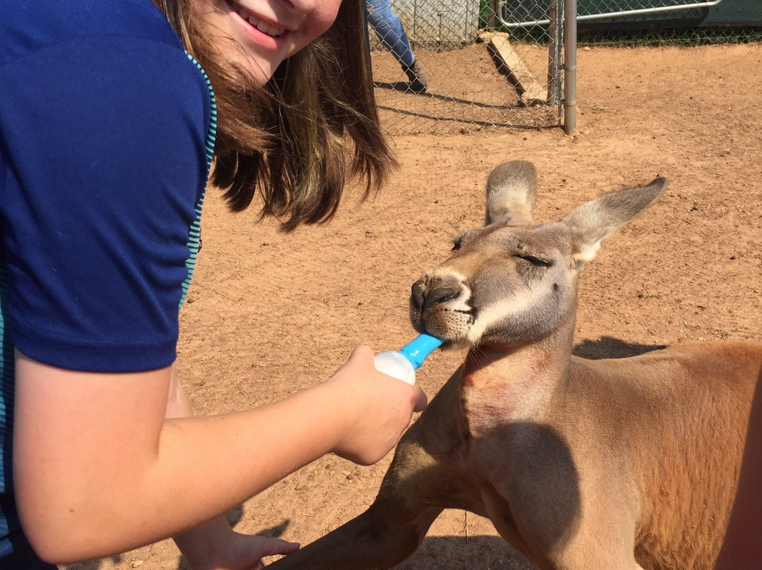 Roos2u-Germantown必去景点