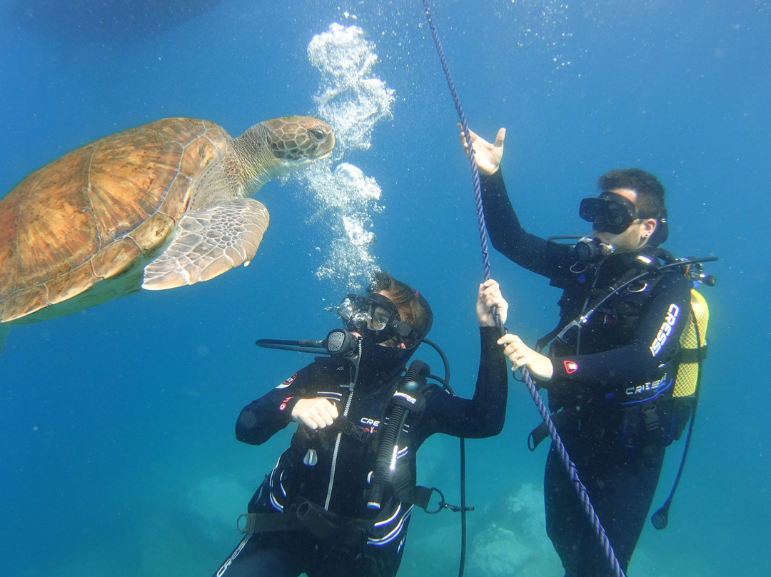 Dive Center Ocean Friends-Los Abrigos必去景点