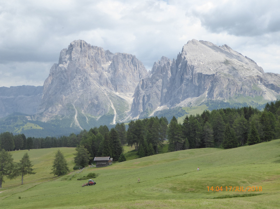 Goldknopf Alpine Lifestyle Hotel主图