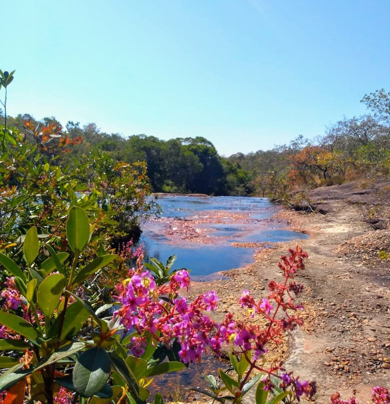 Serra do Roncador景点图片
