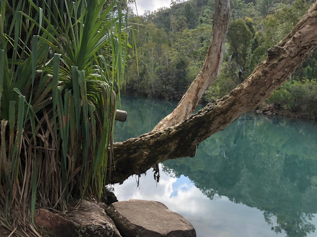 Byfield National Park景点图片