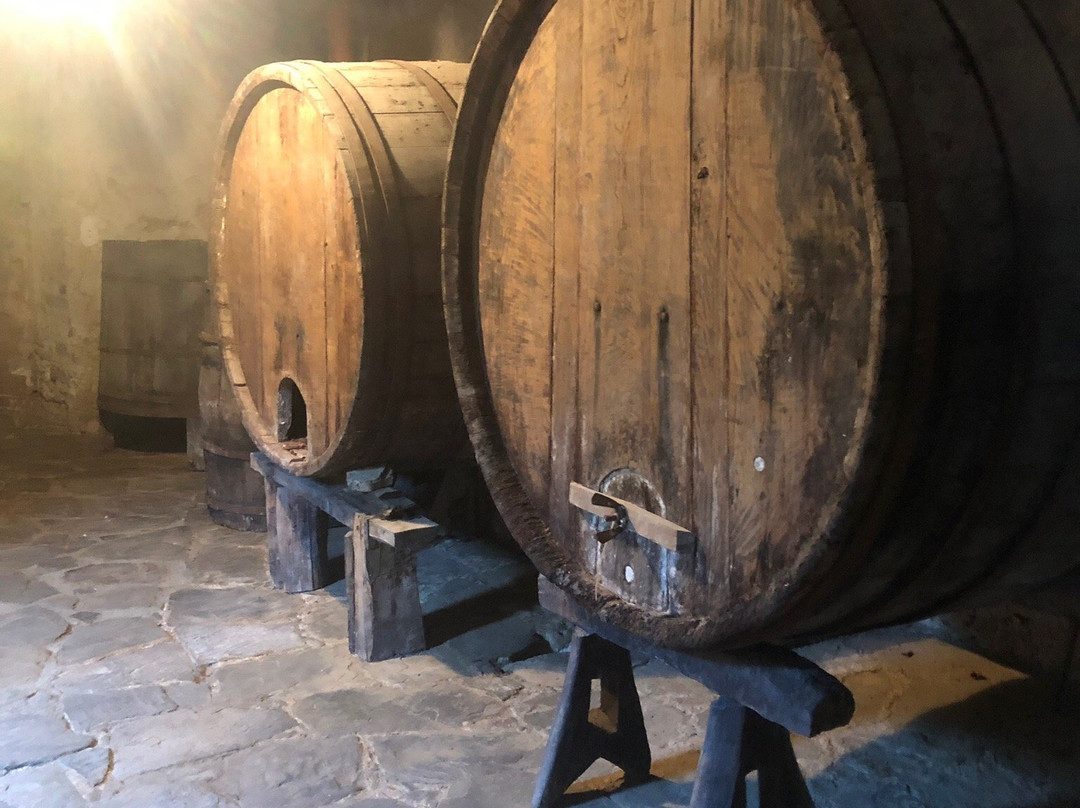 Relais Castello Vassallo主图