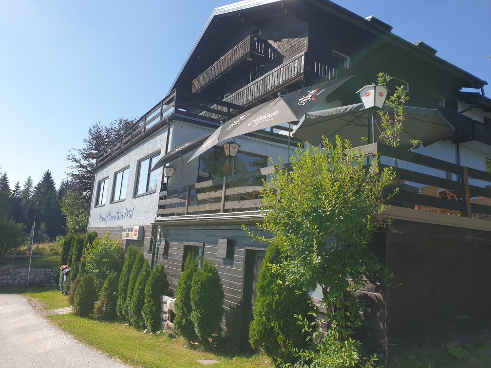 Blue Mountain Hotel-官方