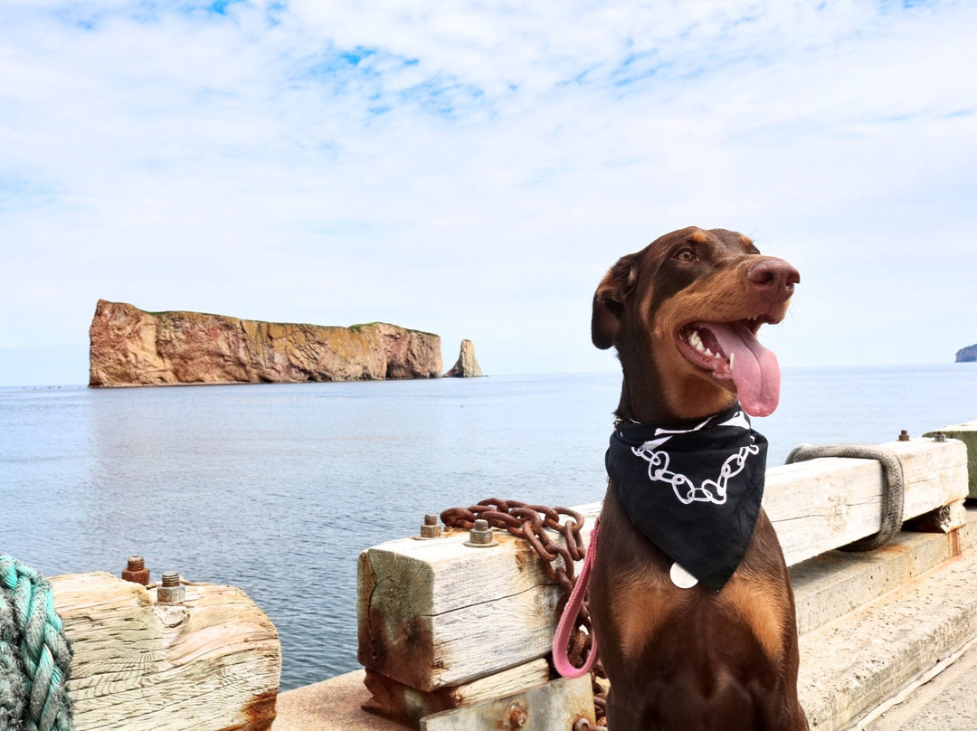 Hotel Motel Fleur de Lys主图