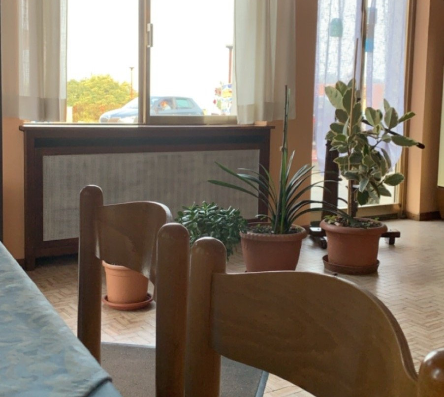 Hotel Rosa主图