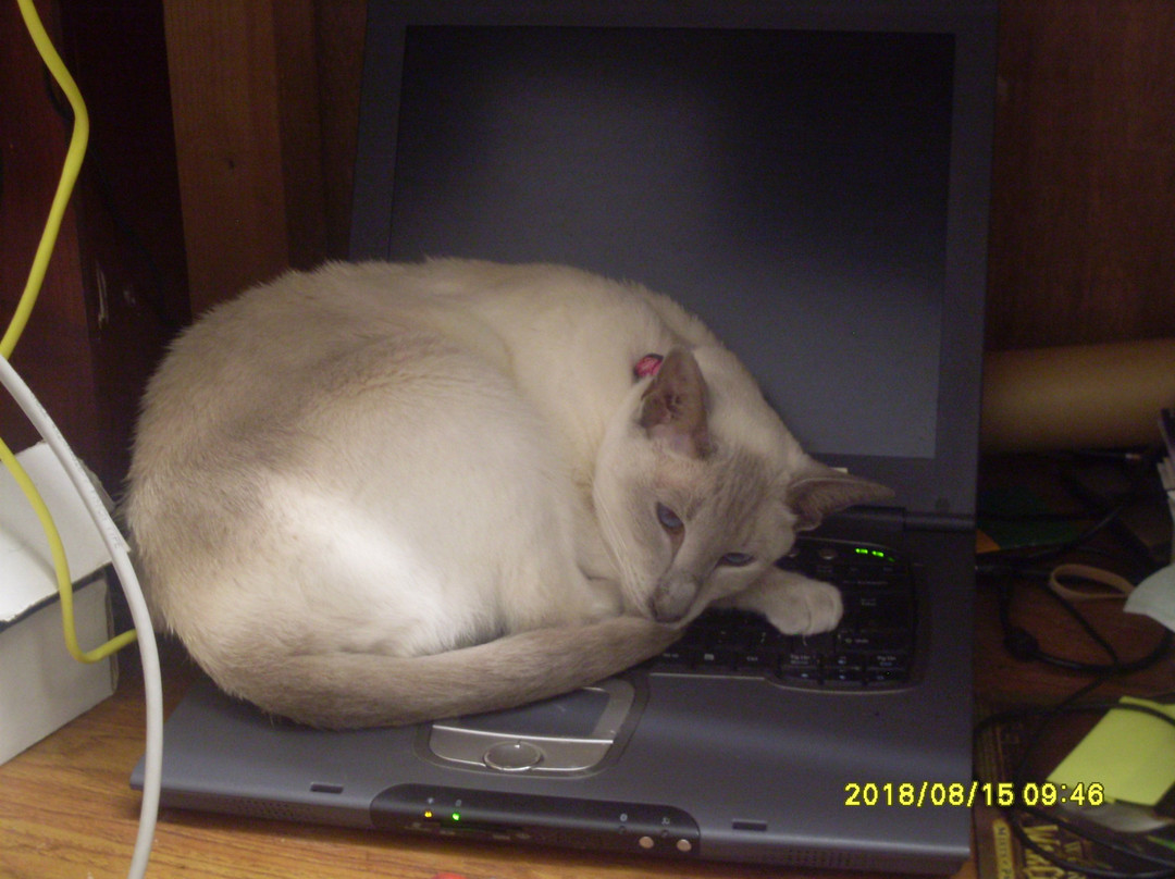 Erw Fair Guest House主图