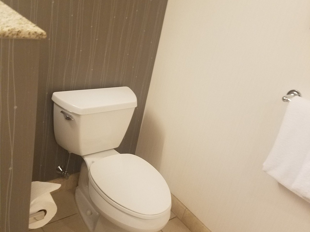 Courtyard By Marriott Pittsburgh Airport Settlers Ridge主图