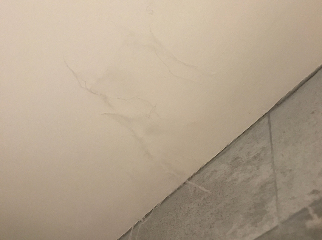 罗德霍恩乡村别墅酒店主图