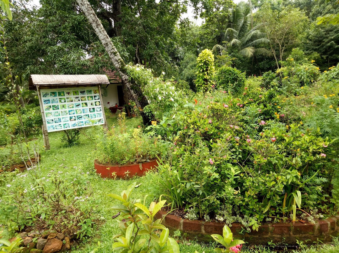 乌龟海滩阿瓦德酒店主图