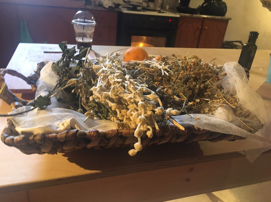 Cr-eat n Cook-Chania Prefecture必去景点