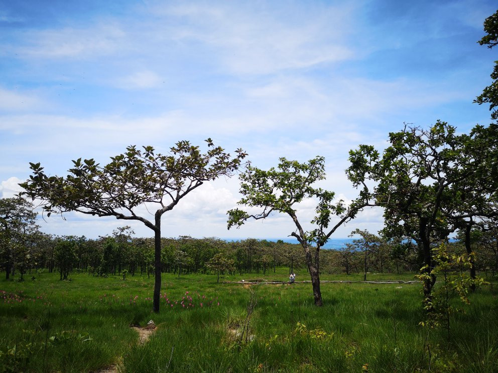 Sai Thong National Park景点图片