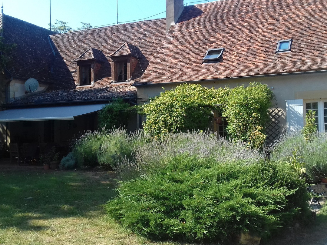 Domaine Maison Dodo主图