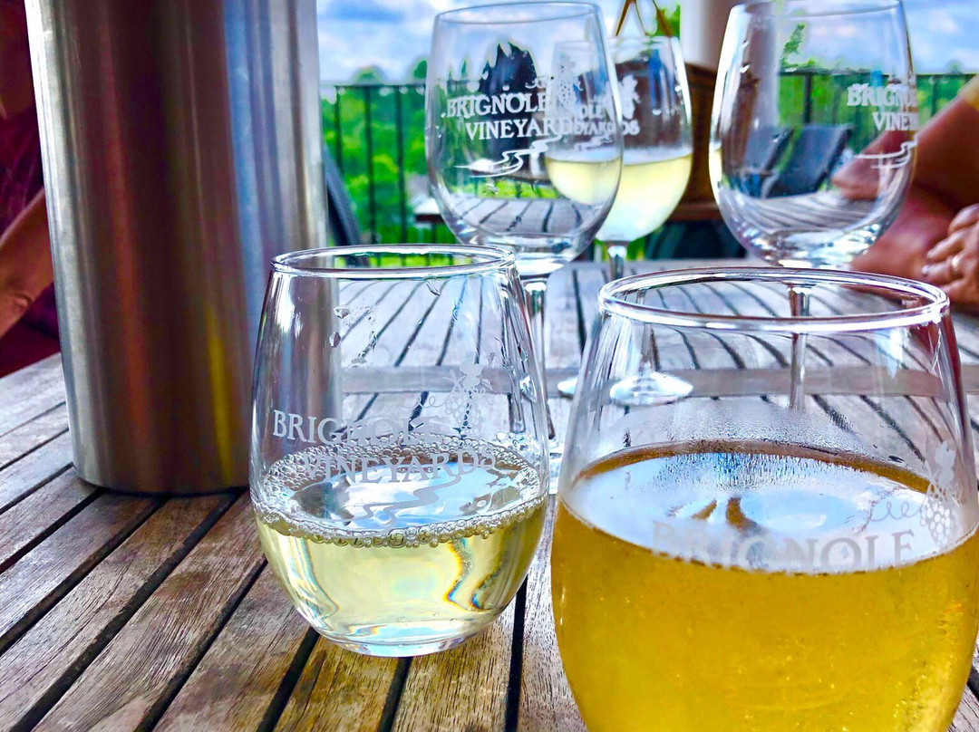 Brignole Vineyards-East Granby必去景点