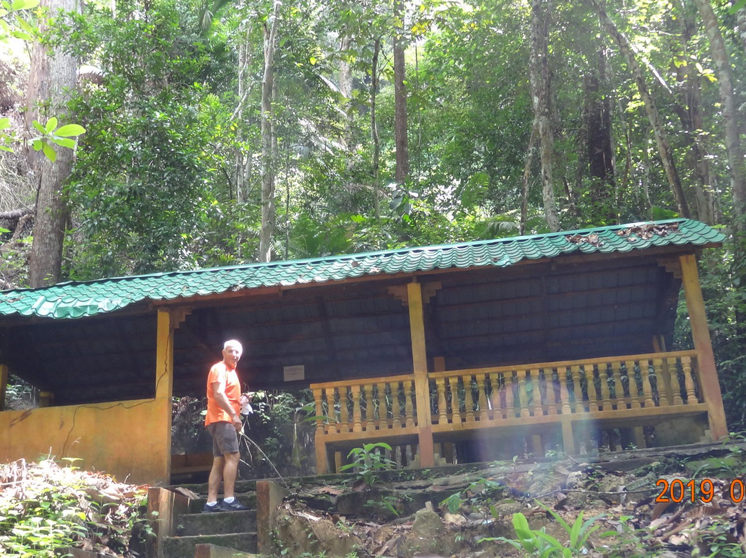 Teluk Bahang Forest Eco Park-丹容武雅必去景点