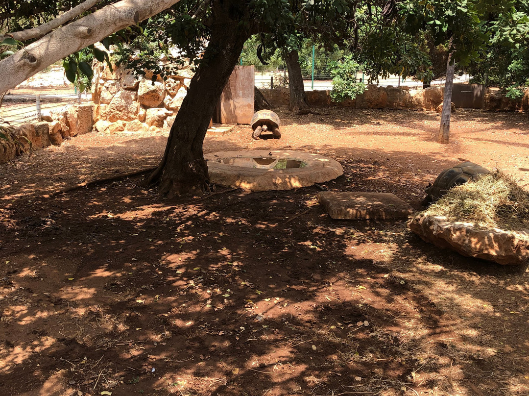 Pafos Zoo-帕福斯必去景点